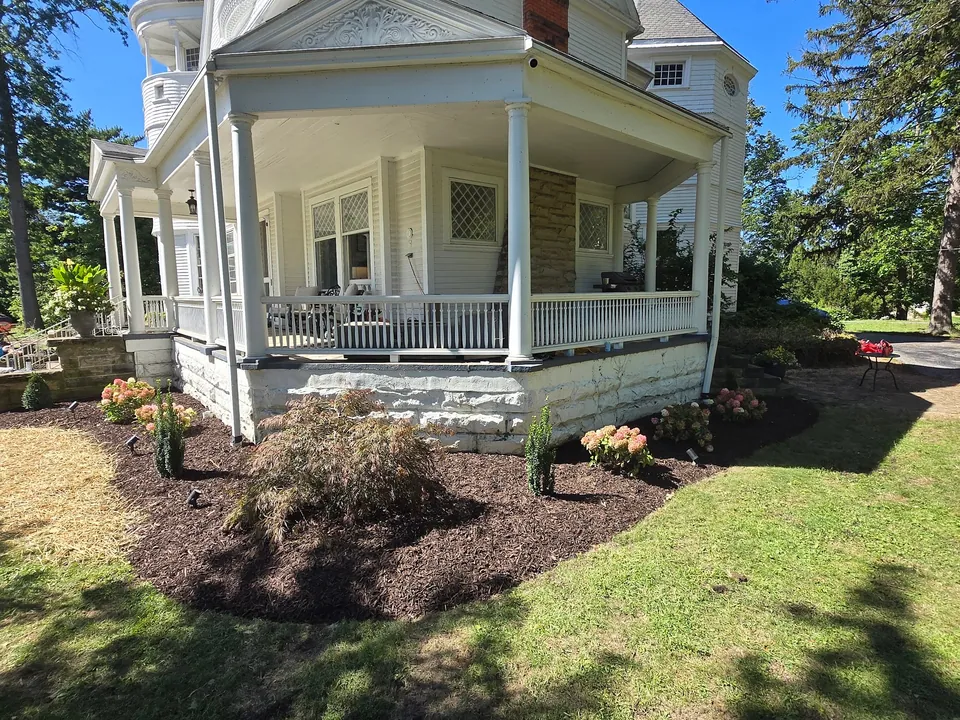 The porch corner with new mulched beds, hydrangeas in bloom and young evergreens against the stone foundation.